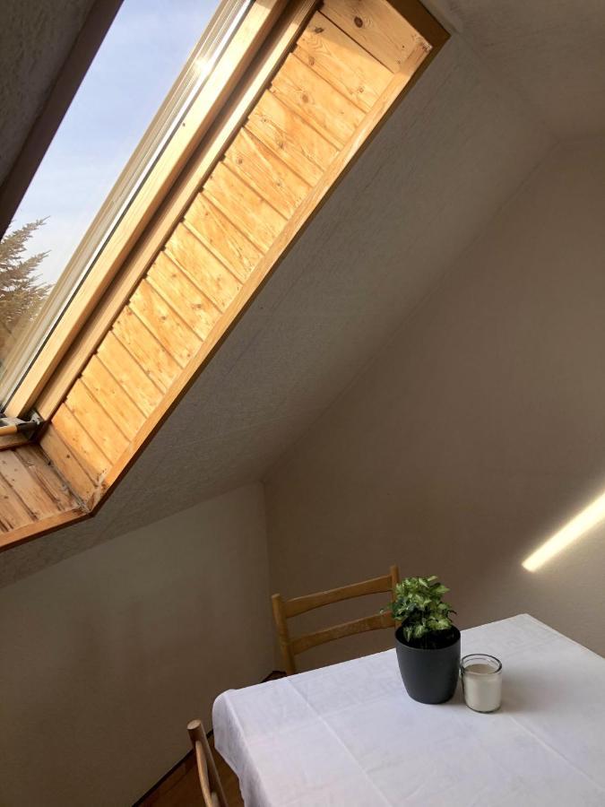 Gasthaus Am Schloss Karlsburg エクステリア 写真